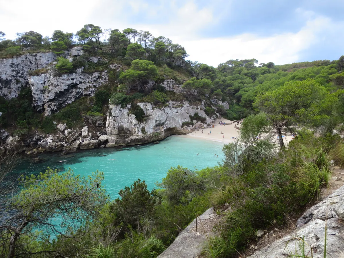 Cala Macarelleta na Minorce: turkusowa woda między białymi skałami i sosnami